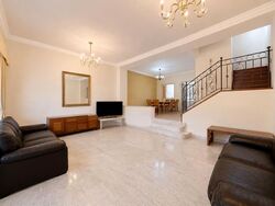 Lorong H Telok Kurau (D15), Terrace #575959171
